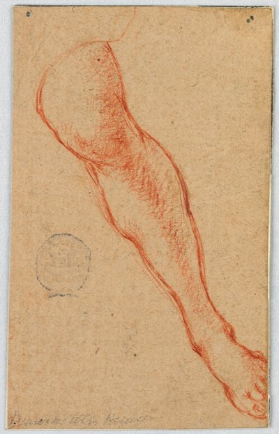 Drawing, Study of the Left Leg of a Seated Woman by Unknown